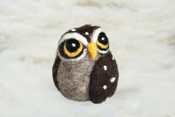 Curious Owl Ornament