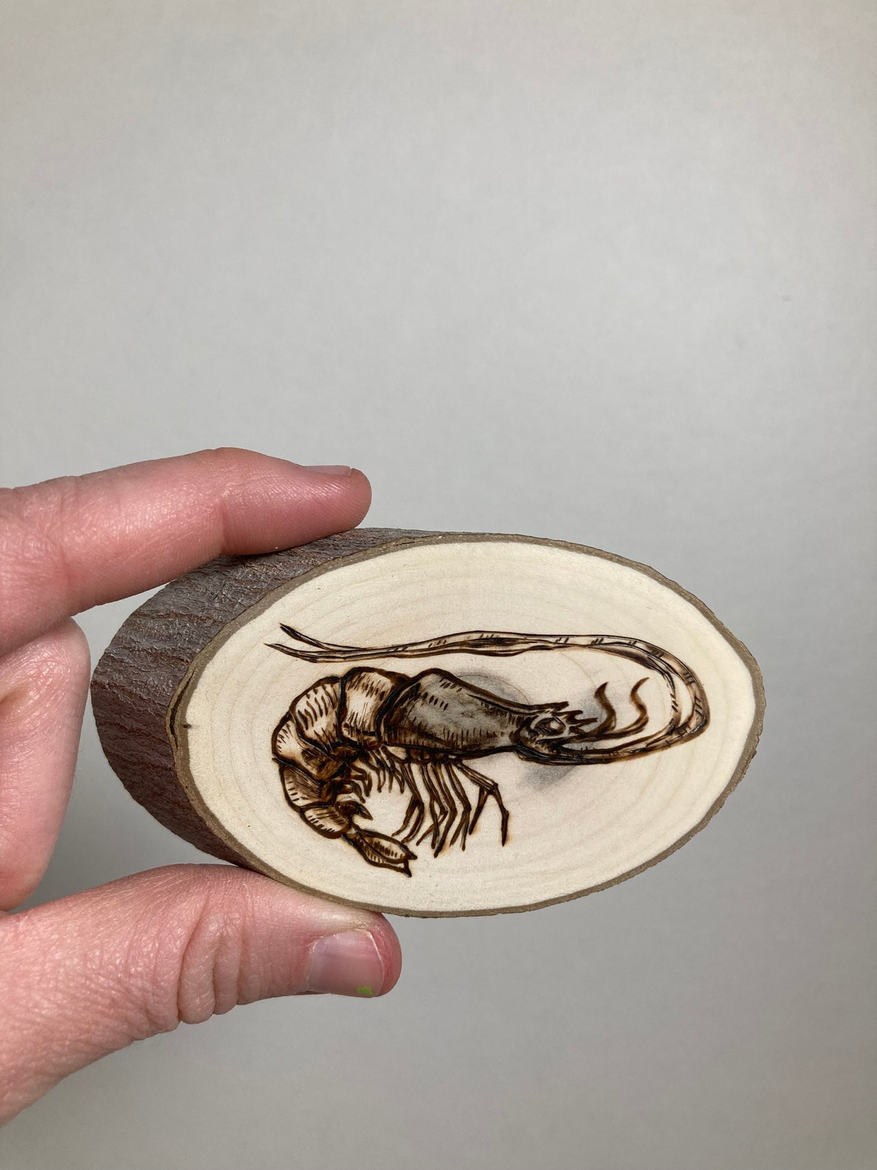 Shrimp - Small