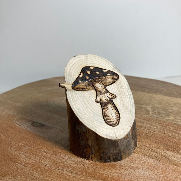 Mushroom II - Small