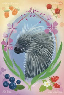 2024 Postcard: "Porcupine Dreams" by Juliana Cornett