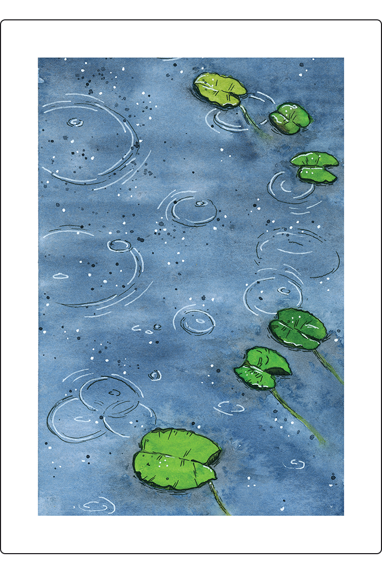 Raindrops Print