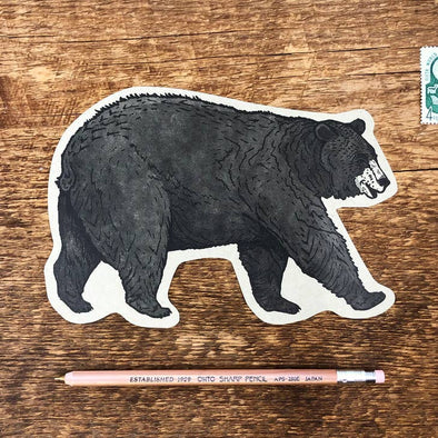 Black Bear Postcard