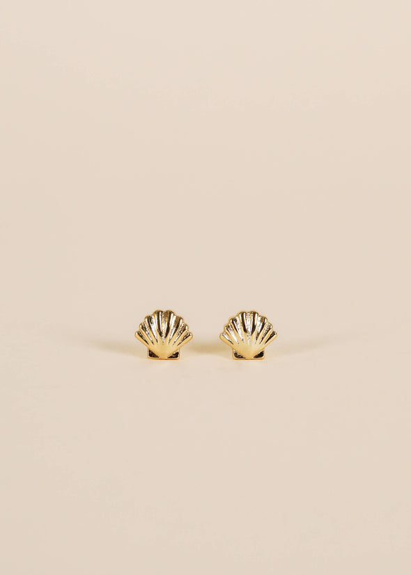 Seashell - Gold Earrings