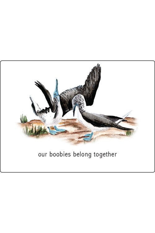 Our Boobies Belong Together Card