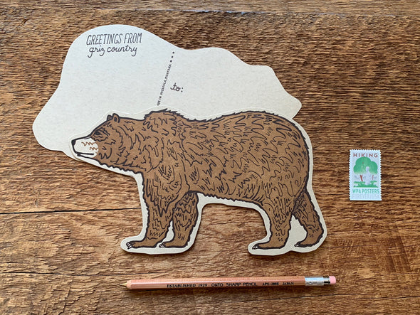 Grizzly Bear Postcard