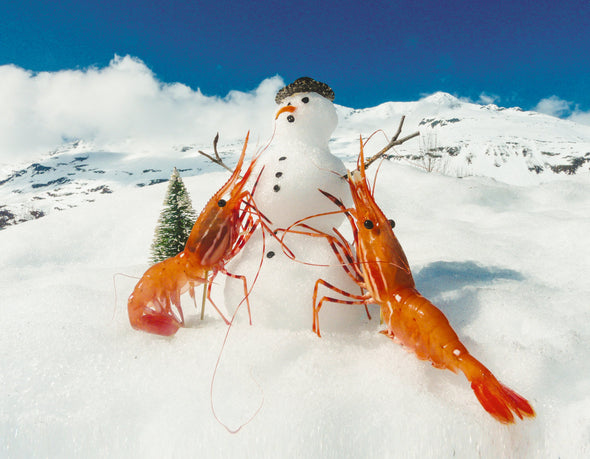 Shrimp Building a Snowman Card