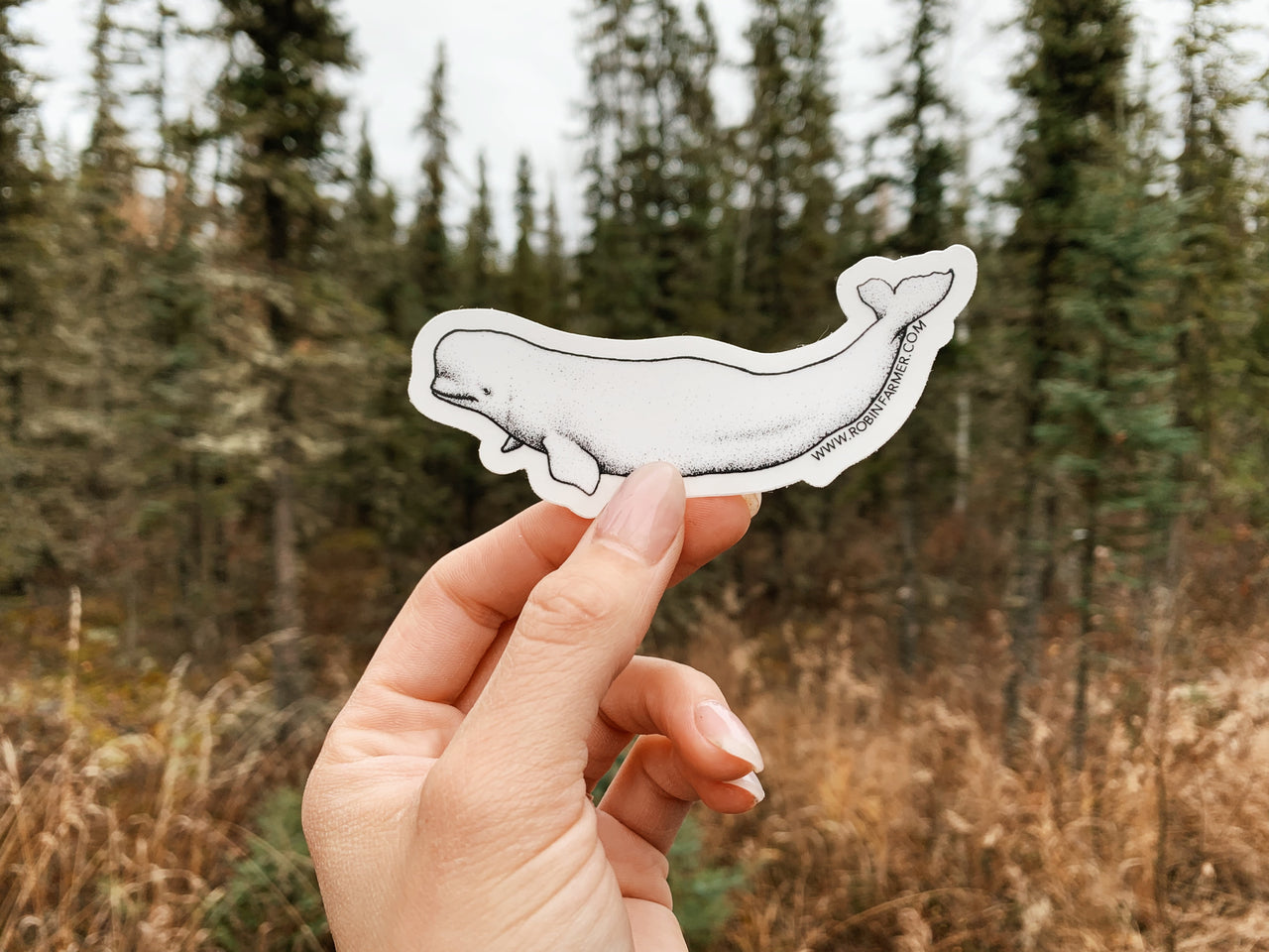 Beluga Sticker