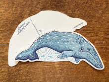 Gray Whale Postcard