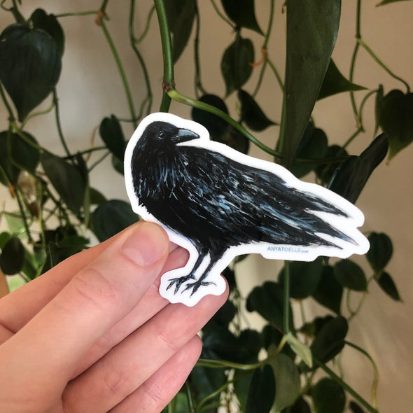 Raven Sticker