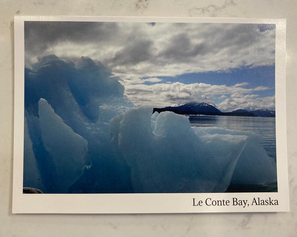 Notecards: Le Conte Bay