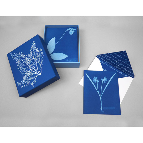 Sunprint Notecards