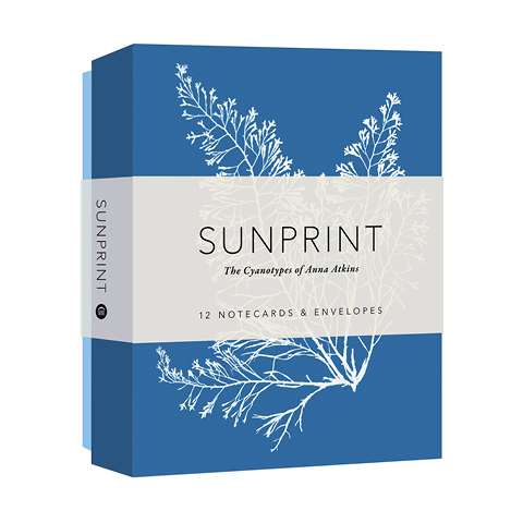 Sunprint Notecards